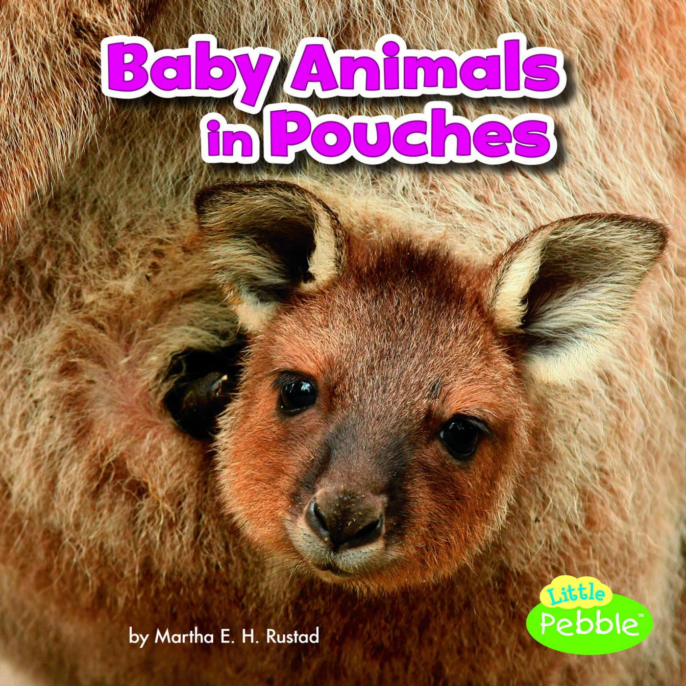Baby Animals and Their Homes: Baby Animals in Pouches (Paperback) -  