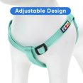 thumbnail image 4 of Chaleco Pawtitas Solid Step, ajustable y sin tirones para perros, 4 of 8