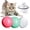Green, variant on PENGXIANG Cat Toys Ball with LED Light, 360 Degree Kitty Self Rotating Ball, USB Rechargeable Interactive Cat Ball Toy, Stimulate Hunting Instinct Kitten Funny Chaser Spinning Smart Pet Toy (Green)