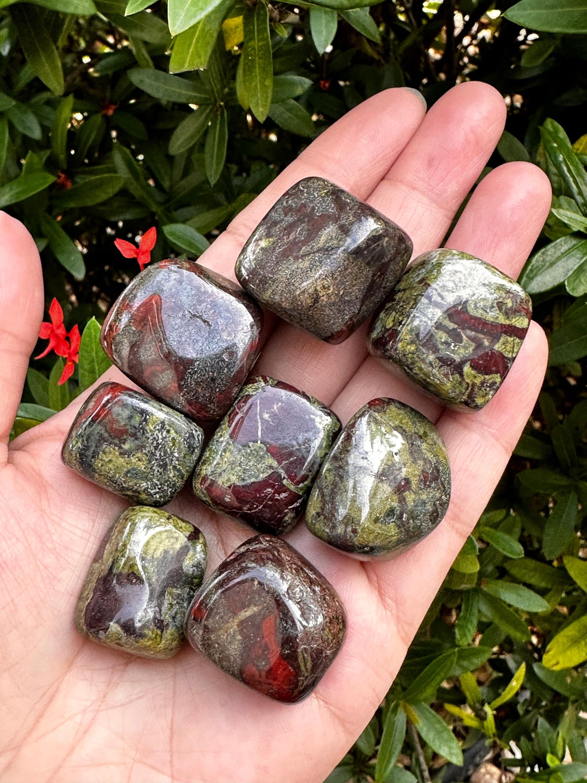Dragon Blood Jasper Tumbled Stones, Polished Dragon Blood Jasper Gemstone, Dragon Blood Jasper Healing Crystals (Dragon Blood Jasper, 1 Pound)