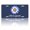 Blue Daisy, variant on We The People License Plate, Front Decoration License Plates Cover Rust-Proof Aluminum Metal, Novelty Vanity Tag Cover with 4 Holes Car Decor 12 X 6 Inches for Men Women