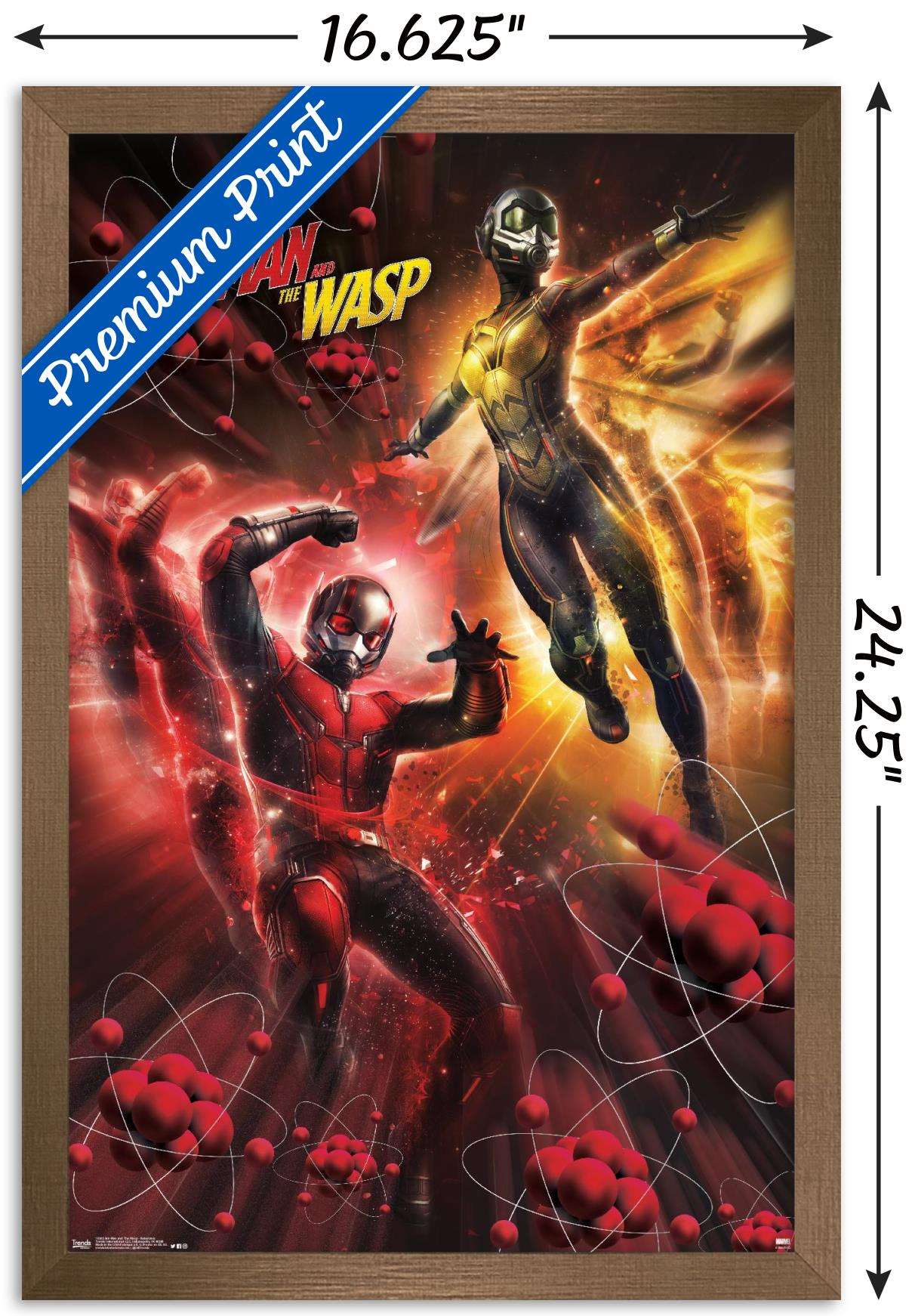 Marvel Cinematic Universe - Ant-Man and the Wasp - Subatomic Wall Poster, 14.725" x 22.375", Framed