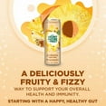 thumbnail image 5 of The Secret Nature of Fruit Spiced Pineapple Probiotic Fruit Soda - 12 fl oz, 5 of 5