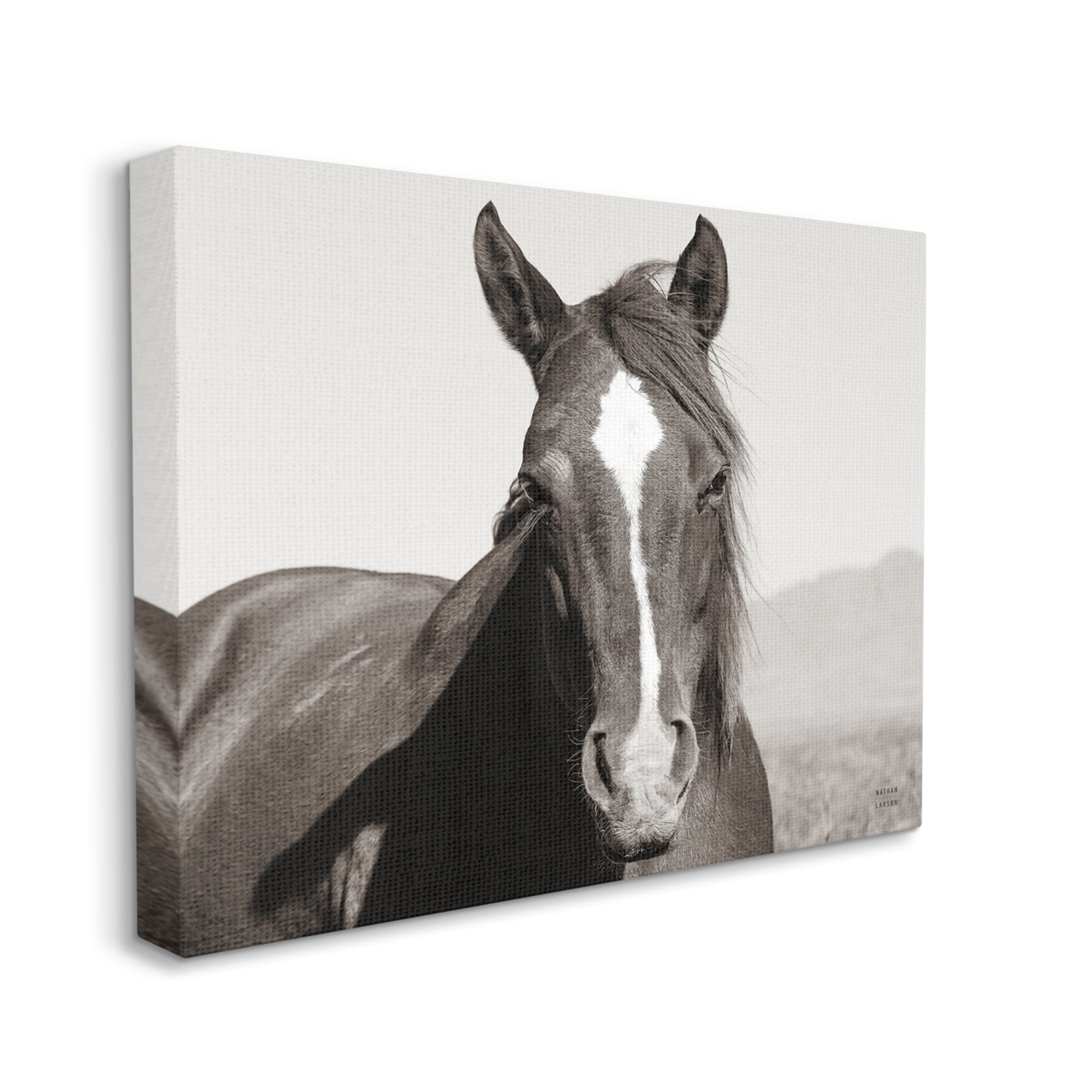 Stupell Industries Windblown Stallion Portrait Animals & Insects Photography Gallery Wrapped Canvas Print Wall Art, 40 x 30