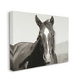 thumbnail image 3 of Stupell Industries Windblown Stallion Portrait Animals & Insects Photography Gallery Wrapped Canvas Print Wall Art, 40 x 30, 3 of 7