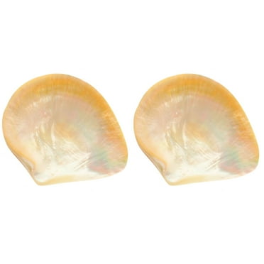 Caviar Shell Plate Salad Plates Tray Tableware Restaurant Food Multifunction Natural