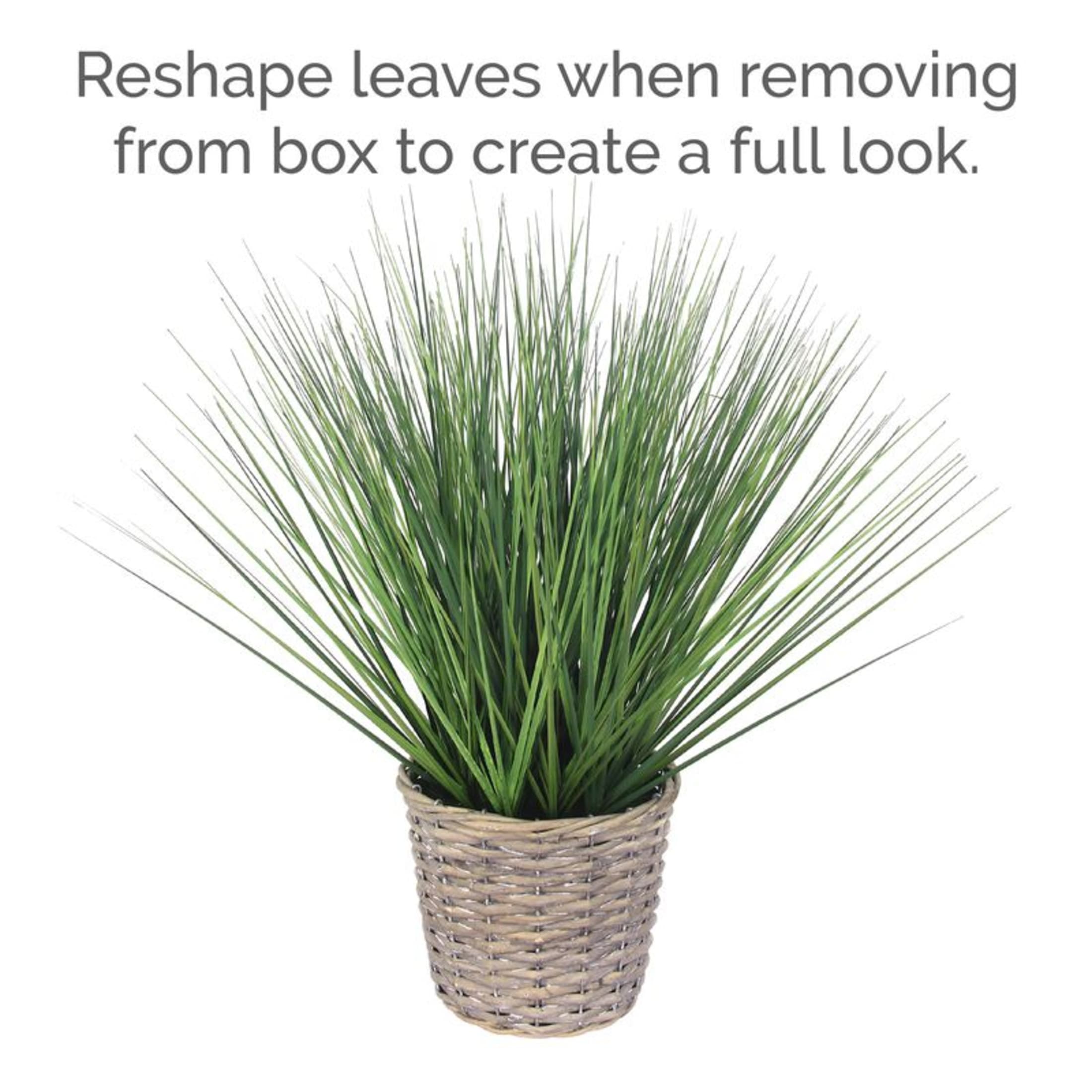Elements 20-inch Grass in Gray Willow Basket, Green