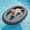 Grey Paw, variant on Heavy Duty Dog Pool Float for Small Medium Large Dogs, Supports Up to 200 lbs, Inflatable Dog Float Raft Non-Slip 66" x 46", Durable Polyester Pet Pool Float for Pool Lake Beach