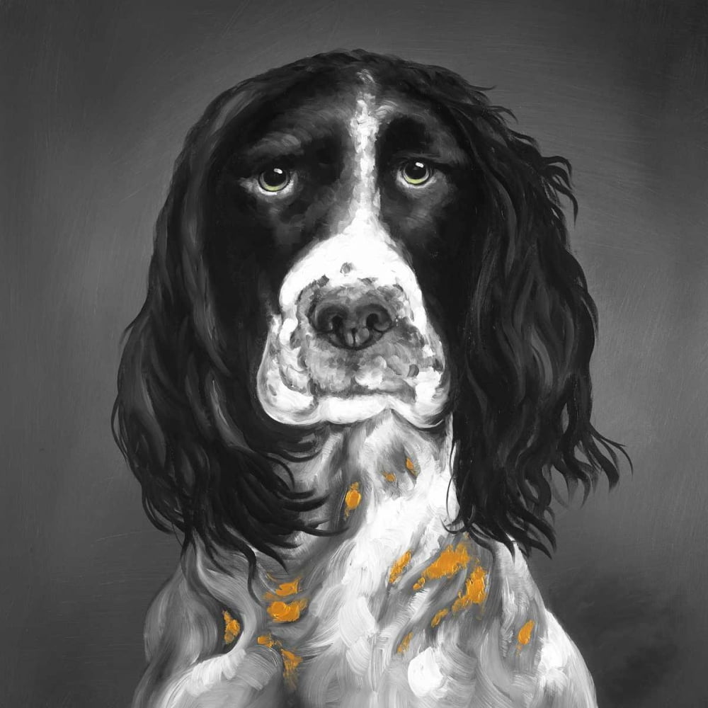 Beautiful English Springer Spaniel Poster Print by Atelier B Art Studio