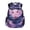 Galaxy Axolotl, variant on Yuyamidu Cute Capybara Print Kids Backpack for School Boys Girls 1st-4th Grade, 17 Inch Lightweight Waterproof Multi-Pocket Bookbag with Padded Shoulder Straps, Math Lover Gifts for Students