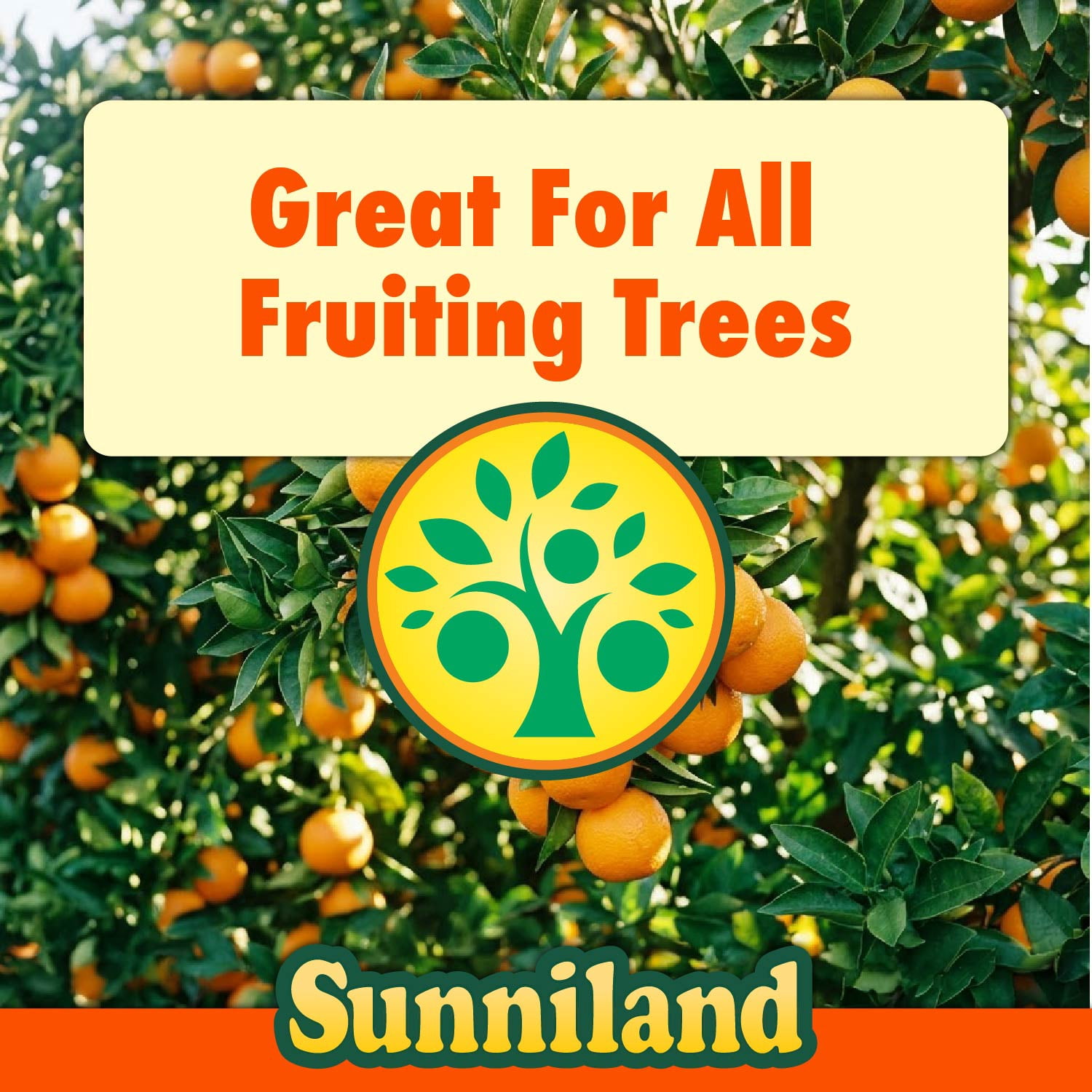 Sunniland Citrus Avocado & Mango Fertilizer, 6-4-6, 10 lb