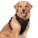 thumbnail image 1 of Arnés para perros Rabbitgoo sin tirones, ajustable, negro, XL, 1 of 8