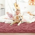 thumbnail image 6 of Softlife Super Soft Rug For Living Room Fluffy Rugs For Dorm Room Cute Plush carpet For Bedroom,6' x 9',Bean Paste Powder, 6 of 7