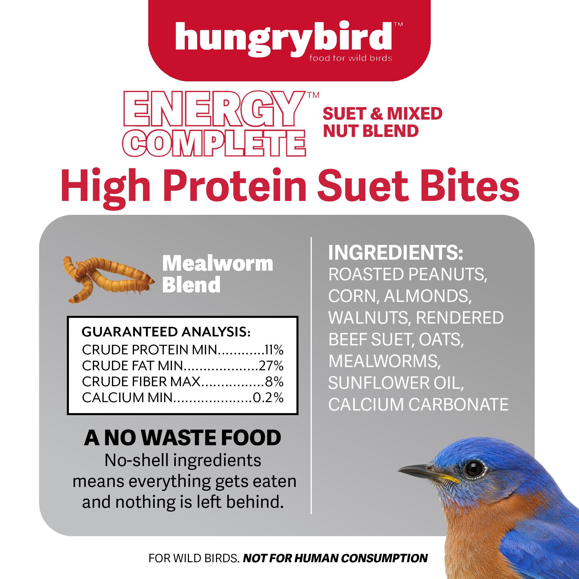 Hungrybird Energy Complete Diet, 7lb - All-Season Mealworm Suet & Mixed Nut Blend for Wild Birds