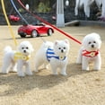 thumbnail image 5 of Smile Harness(yellow), 5 of 5