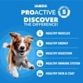 thumbnail image 3 of IAMS Proactive Health, Dry Dog Food, Adult Dog Food Dry Recipe for Healthy Weight, with Chicken, 15 lb. Bag (Pack of 12), 3 of 10