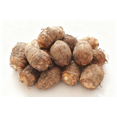 thumbnail image 4 of Premium Perennial - Elephant Ear Plants Bulbs - Easy Grow / Low Maintenance - Ideal for Garden, Plant Hangers, 4 of 4