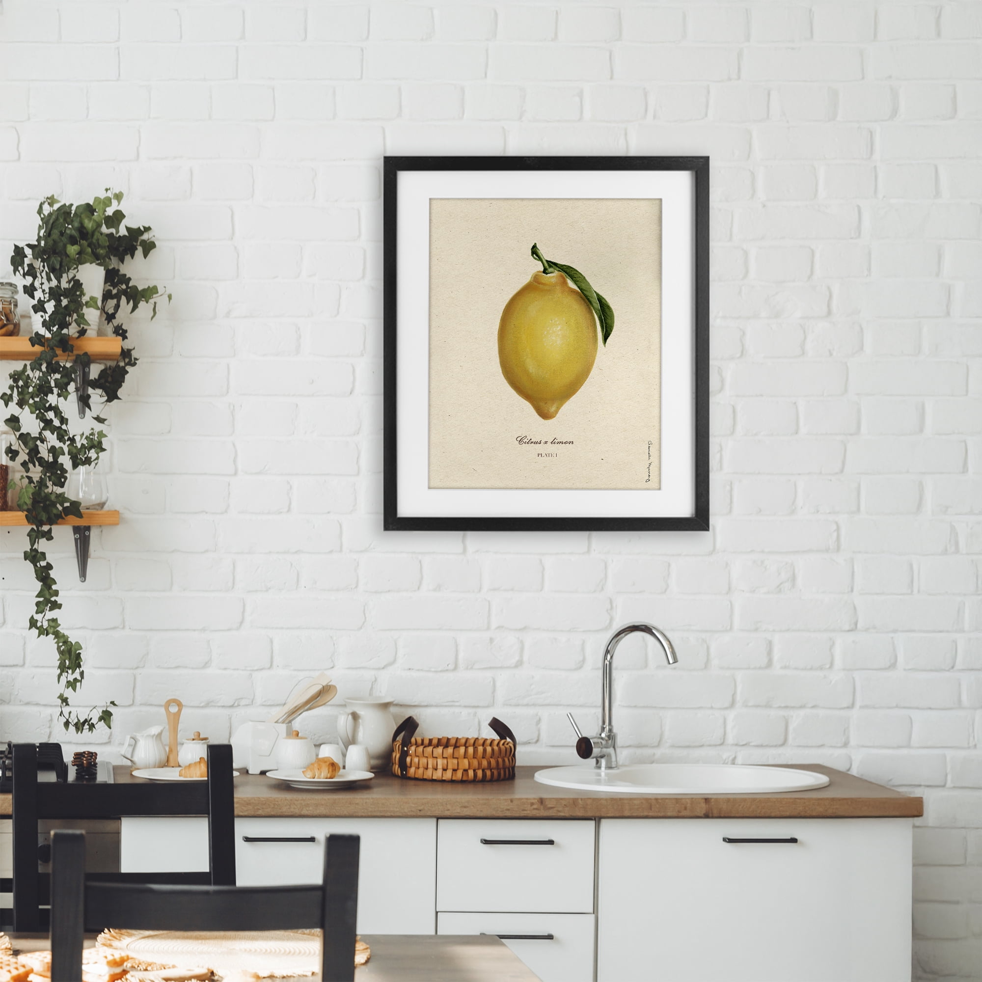 Stupell Industries Lemon Fruit Portrait Black Framed Print Under Glass, design by Danielle Murray