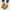 Brown, variant on Babysbule Boots for Women Winter Women Mid Heel Shoes Winter Warm Leopard Fashion Side Zipper Pointed Toe Casual Solid Color