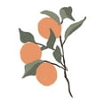 thumbnail image 2 of Price, Lucille 25x32 White Modern Wood Framed Museum Art Print Titled - Stem Of Oranges, 2 of 4