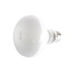 thumbnail image 3 of Uva+uvb Reptile Lamp Bulb Turtle Basking UV Bulbs Lámpara de calor Lagartos anfibios Controlador de temperatura (25W), 3 of 5