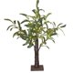 thumbnail image 4 of Olivo decorativo de 18 pulgadas con 30 luces LED de color blanco cálido, funciona con pilas o USB, con temporizador, árbol de vegetación artificial con luces de cadena para bodas, fiestas, 4 of 5
