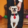 thumbnail image 4 of CSChome Collier pour Animaux de Compagnie avec Anneau en D Boucle Réglable Polyester Cravate Cosplay pour Chien, 4 of 7