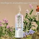 thumbnail image 4 of Máquina automática de aromaterapia, máquina de aromaterapia para hoteles, humidificador (versión estándar, con aceite: 50 ml) Máquina de fragancias, 4 of 4
