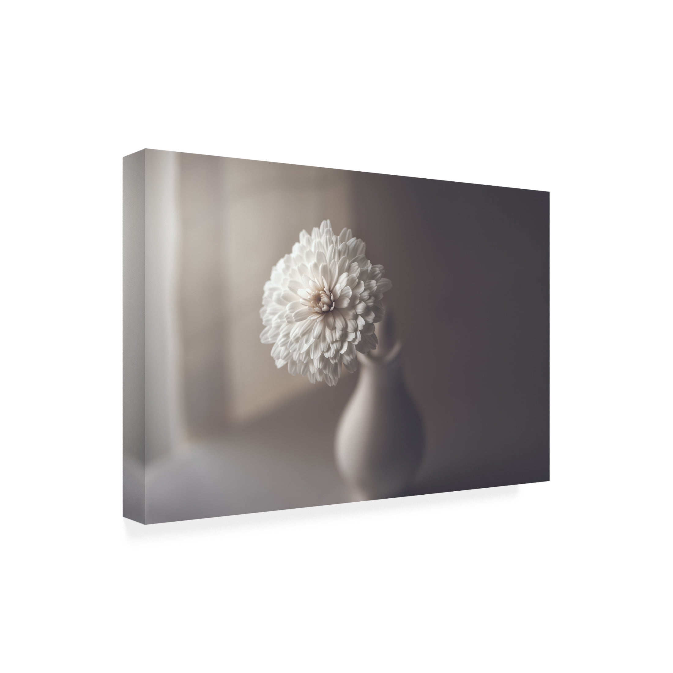 Jose Antonio Sanchez 'Window Light' Canvas Art - 24 x 16 Inches