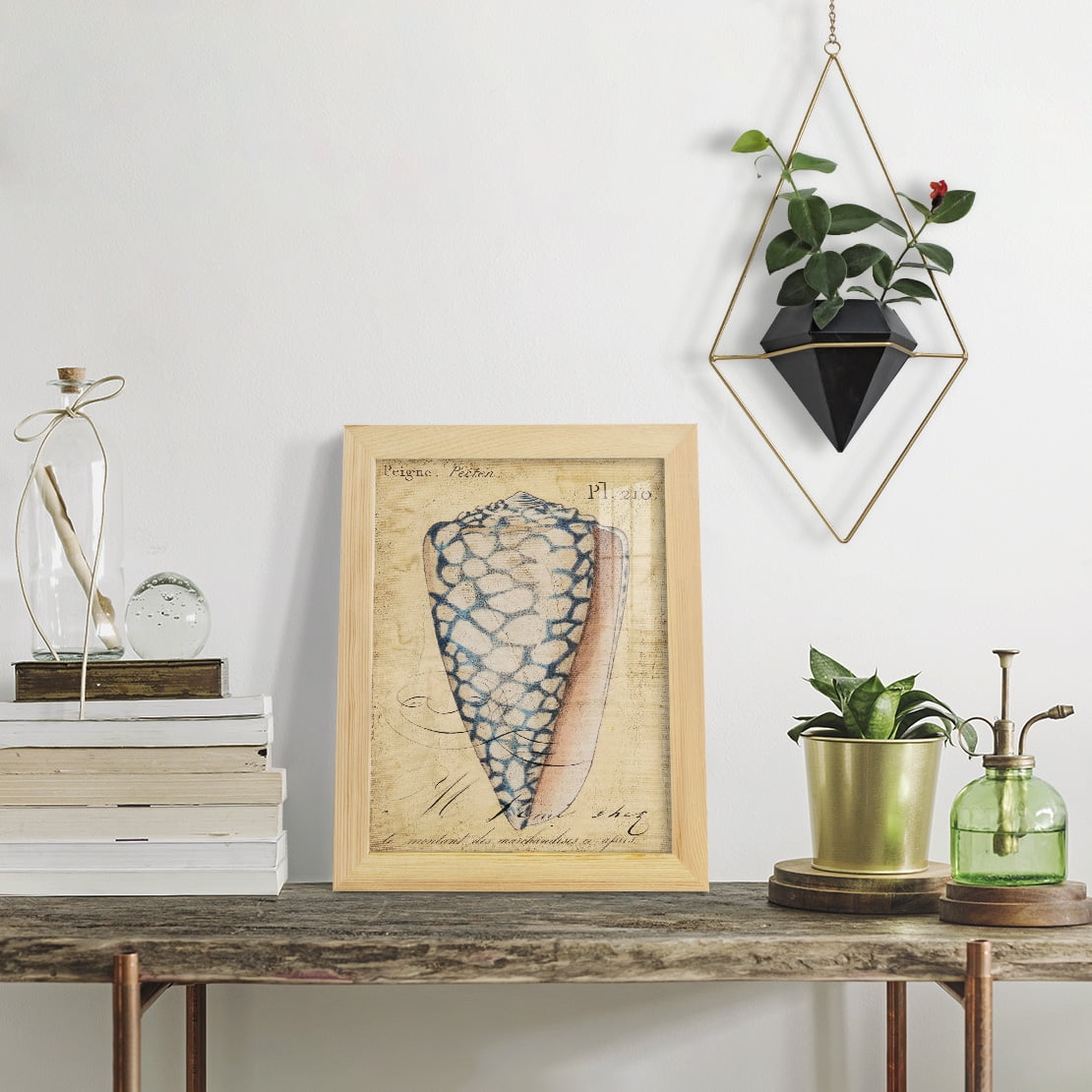 Seashell Ephemera IV - Framed Print w/glass - Natural Wood