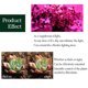 thumbnail image 4 of Tira LED para cultivo de plantas 5 metros, 300 LEDs 5050, espectro completo, impermeable IP65, 12V DC, luz roja/azul 5:1, ideal para hidroponía e invernaderos., 4 of 6