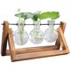 thumbnail image 1 of Soporte de madera Deco con jarrón de vidrio hidropónico, jarrón colgante, jarrón de flores, jarrón de mesa, jarrón decorativo, 1 of 4