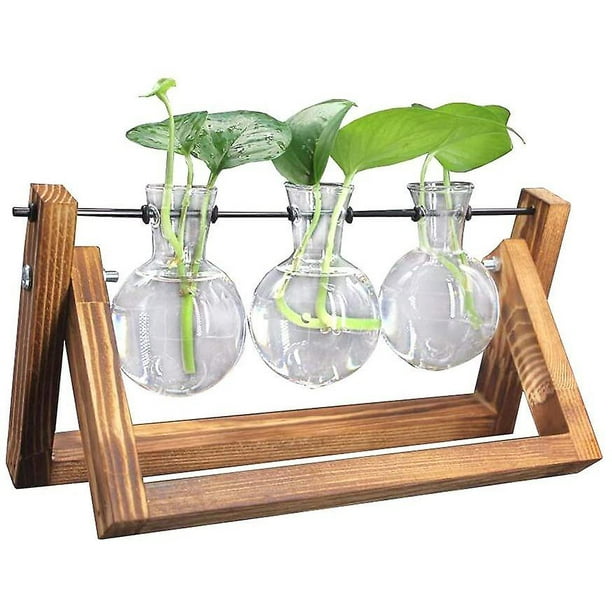 Soporte de madera Deco con jarrón de vidrio hidropónico, jarrón colgante, jarrón de flores, jarrón de mesa, jarrón decorativo