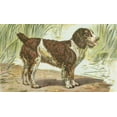 thumbnail image 2 of Unknown 24x16 Black Ornate Wood Framed with Double Matting Museum Art Print Titled - Mans Best Friend IV, 2 of 4