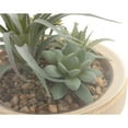 thumbnail image 6 of Home Decor Collection Glass Enclosed Faux Succulent 9.84" Terrarium Indoor Table Top Décor, 6 of 11
