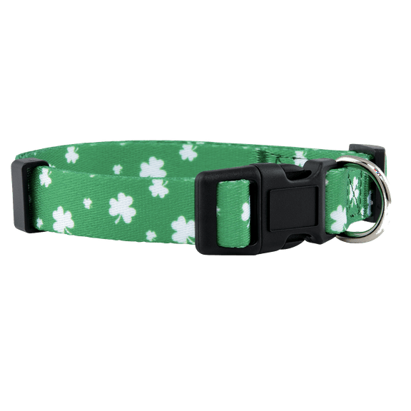 Native Pup St Patrick's Day Dog Collar