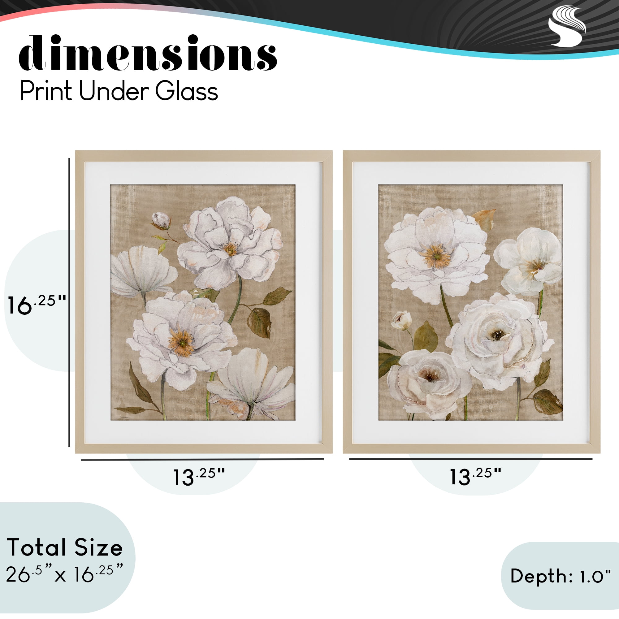Stupell Industries White Blooms over Neutral 2 Piece Birch Framed Print Under Glass Set, design by Carol Robinson