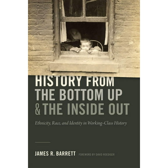 History from the Bottom Up and the Inside Out: Ethnicity, Race, and Identity in Working-Class History, (Paperback)