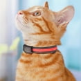 thumbnail image 5 of Tvtnvo Led Dog Collar Light Leash Usb Rechargeable Solar Powered Safety Visibility Multiple Lighting Modes Adjustable Long Lasting Waterproof Design for Night Walks and Training Red 19.7-23.6in, 5 of 5