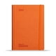 thumbnail image 1 of Libreta Agenda ejecutiva Ferrini Blocco Dinamico 96h Ry, 1 of 6
