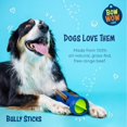 thumbnail image 5 of Bow Wow Labs 6" Safe Fit Bully Sticks (Jumbo) for Dogs - 10 Pack, 5 of 8