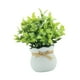 thumbnail image 5 of Pequeñas plantas artificiales, bonsáis artificiales, decoración de mesa, centro de mesa, Blanco, 5 of 9