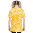 thumbnail image 2 of Jimi Hendrix  Adult Are You Experienced Tie Dye T-Shirt, 2 of 4