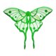 thumbnail image 2 of Disfraz de alas de mariposa, accesorios de cosplay para disfraces de hadas, foto de alas de hada Verde, 2 of 9