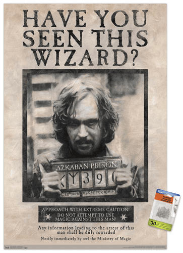 HARRY POTTER16744 - FRENCH