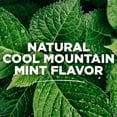 thumbnail image 6 of Tom's of Maine Long Lasting Wicked Fresh Mouthwash, Cool Mountain Mint - 16 oz - 2 pk by Tom's of Maine, 6 of 9