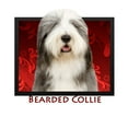 thumbnail image 2 of CafePress - Bearded Collie Throw Blanket - Soft Fleece Throw Blanket, 50"x60" Stadium Blanket, 2 of 2