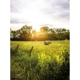 thumbnail image 2 of Quillen, Donnie 25x32 White Modern Wood Framed Museum Art Print Titled - Daybreak in the Country I, 2 of 4