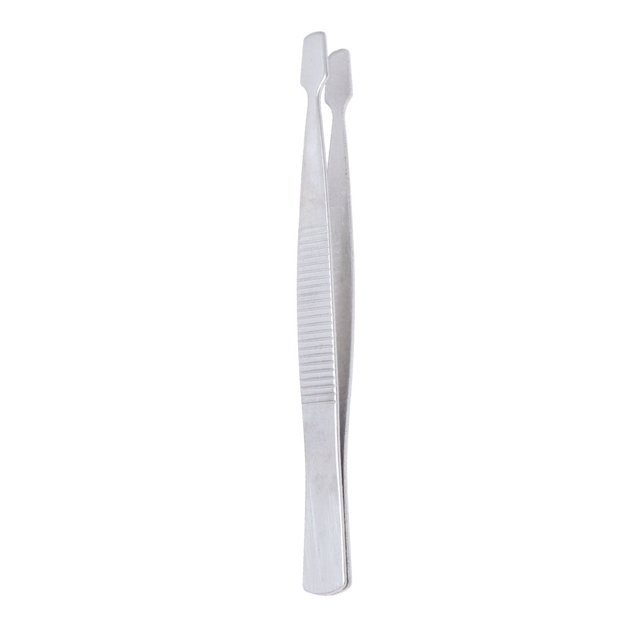 1 pinza de acero inoxidable para hacer especímenes de insectos, pinzas para extender las alas de los insectos, pinzas para especímenes, herramienta plateada.