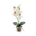 thumbnail image 1 of 2025 Latest Model Artificial Phalaenopsis potted plant simulation flower pot fake orchid d, 1 of 5